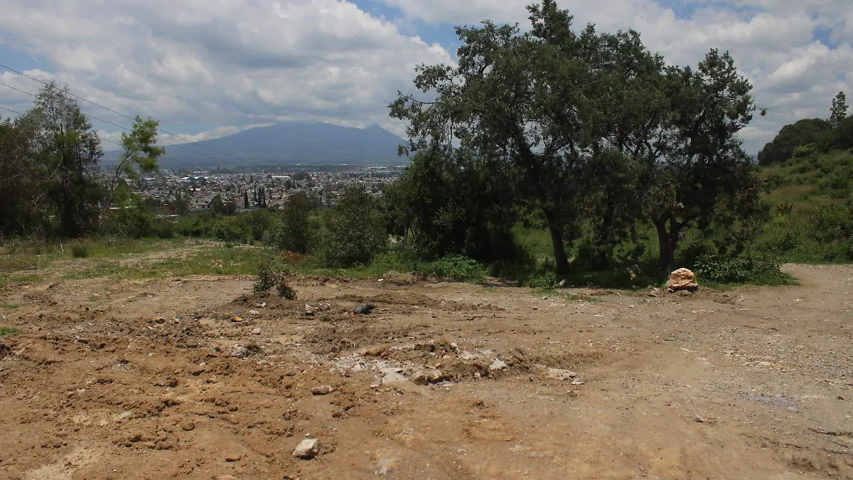 Terreno cercano a Flor del Bosque que fue deforestado sigue sin ser restituido con vegetación